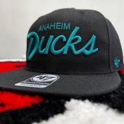 Ducks Anaheim
