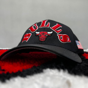 Chicago Bulls