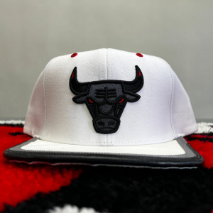 Chicago Bulls