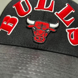 Chicago Bulls